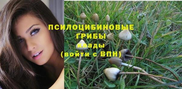винт Алзамай