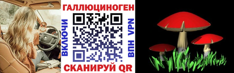 где купить   Артёмовск  blacksprut   Галлюциногенные грибы прущие грибы 